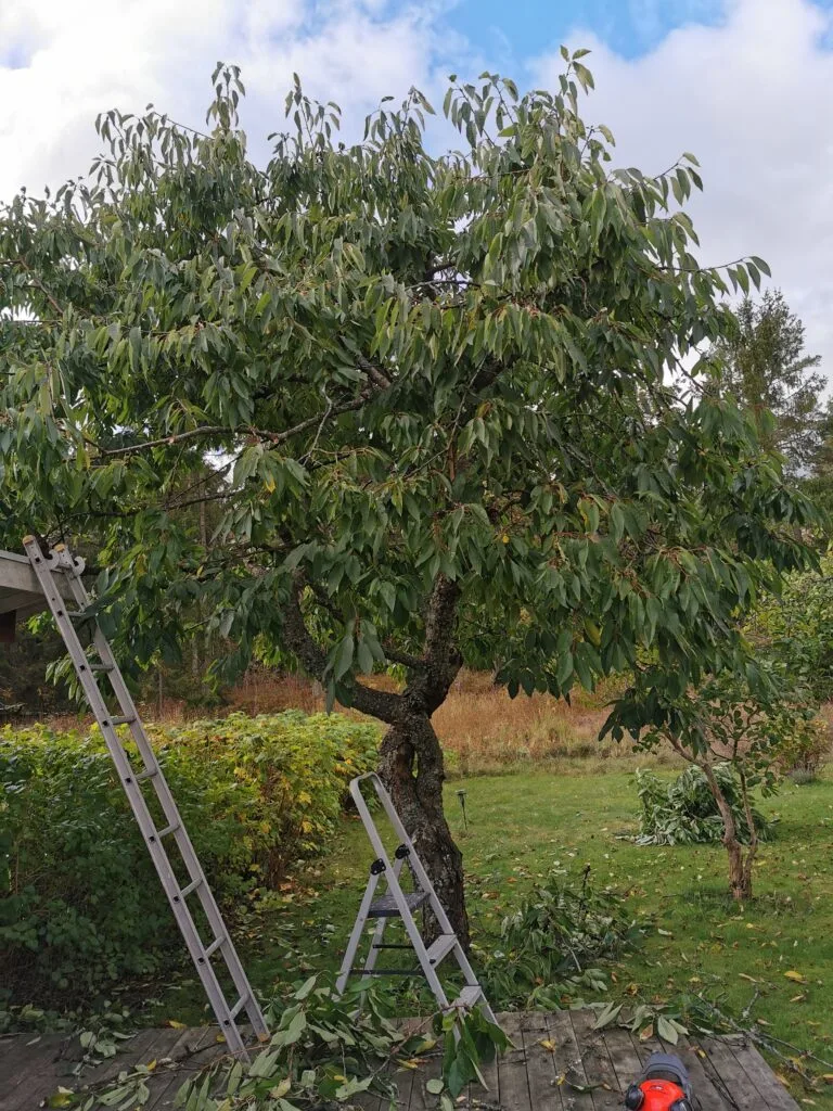 Beskärning Värmdö